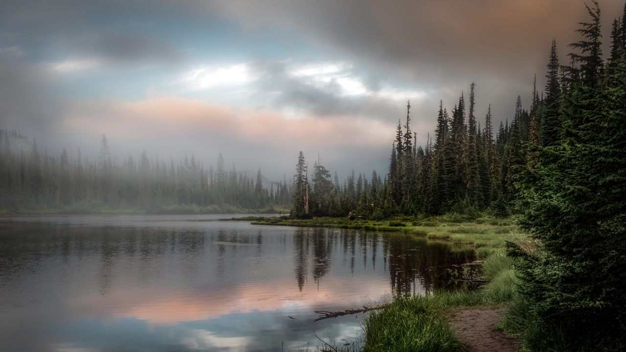 Forest and lake